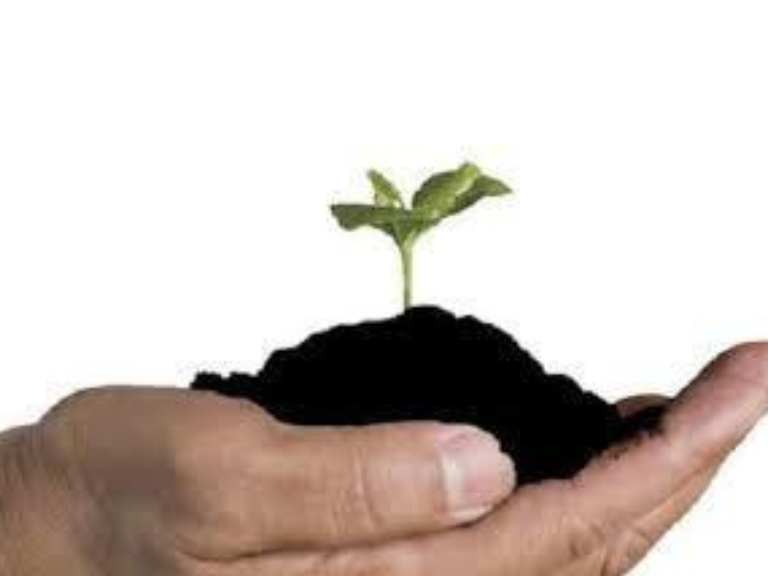 Organic Agriculture Fertilizers