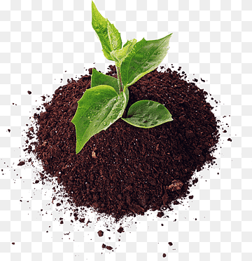Organic Fertilizer