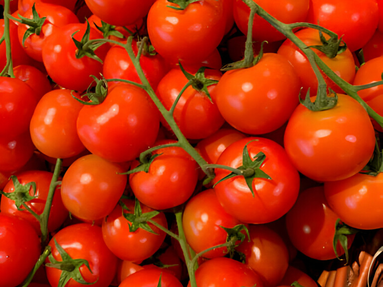 Tomatoes 